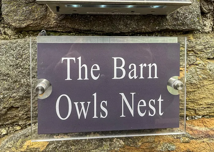 Barn Owls Nest-Uk39432